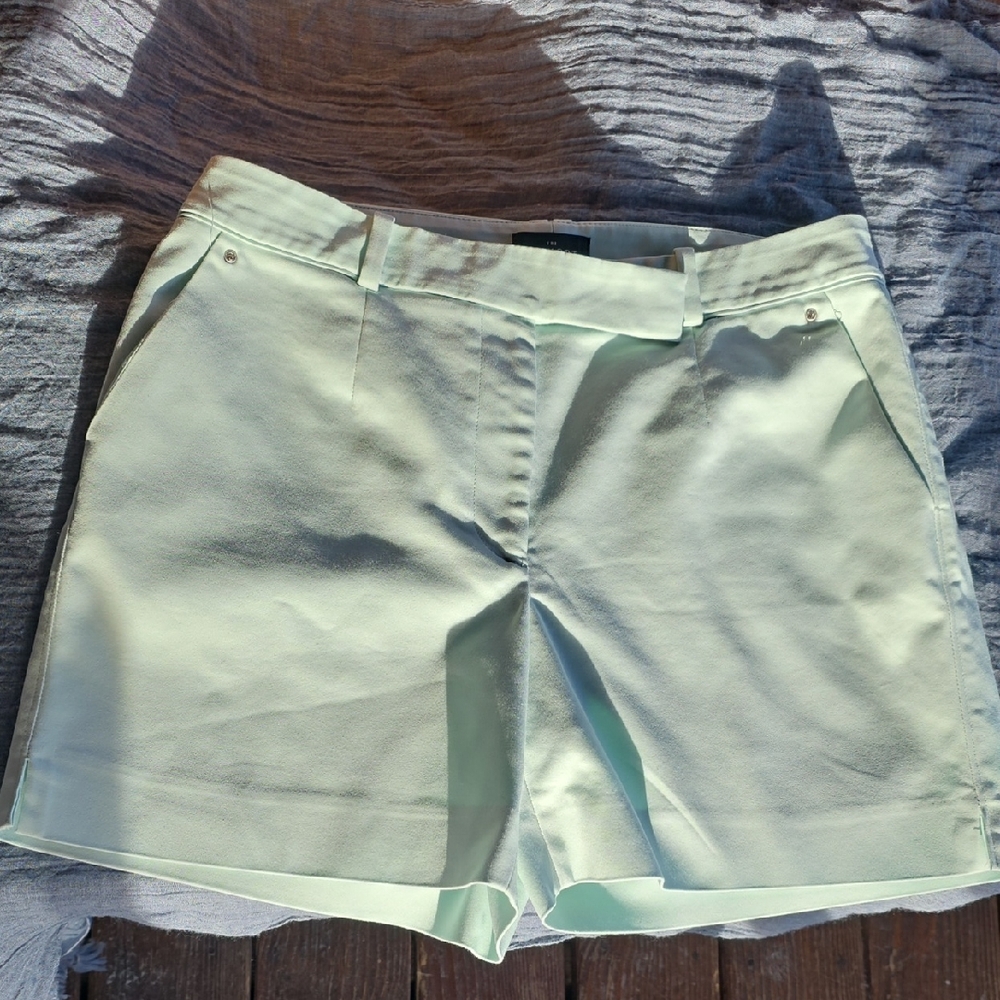 The White House Black Market Elegant Mint Women's Bermuda Shorts